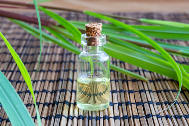 A bottle of lemon grass essential oil with fresh lemon grass stock photo