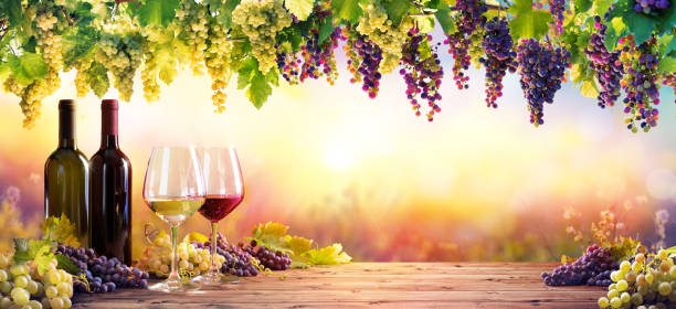 bottles and wineglasses with grapes at sunset - uvas imagens e fotografias de stock