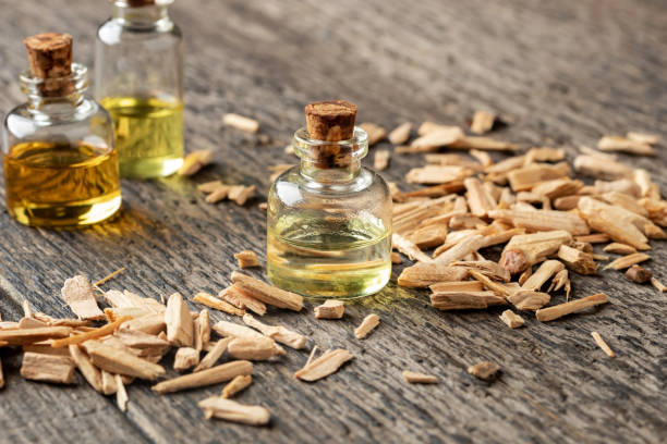 Bottles of essential oil with cedar wood chips stock photo