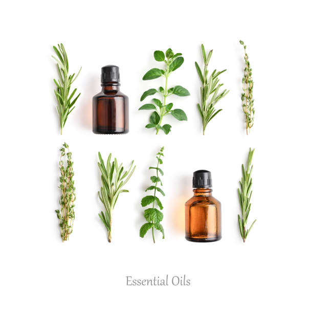 Bottles with essential oils and fresh herbs stock photo