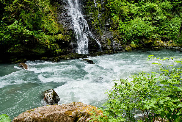 Boulder Falls and River The numerous waterfalls of the Cascade Range and foothills are best viewed in early summer as melting snow feeds the streams, and again in autumn as the rains fill the streambeds. During late summer, only the major waterfalls will be flowing. Only a small number of the many waterfalls in Washington State, have been named. Whether the falls have names or not, they are a refreshing sight to both the eye and spirit. Boulder Falls was photographed on the Boulder River in the Boulder River Wilderness near Arlington, Washington State, USA. jeff goulden waterfall stock pictures, royalty-free photos & images
