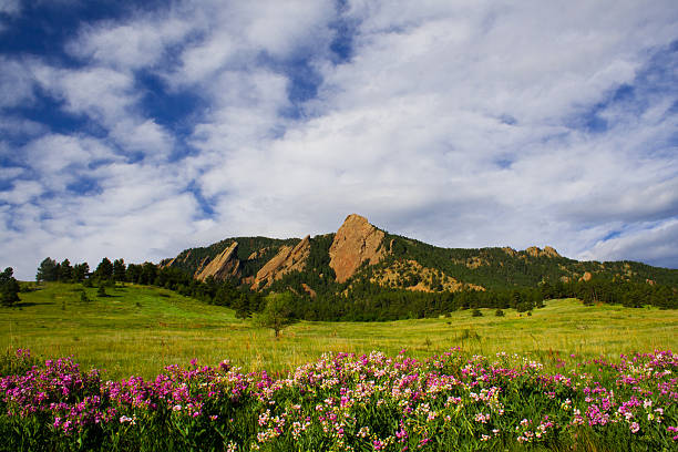 Boulder  Flatirons A summer morning in Boulder, Colorado with the Flatirons in the background and a bunch of purple and pink flowers in the foreground. boulder colorado stock pictures, royalty-free photos & images