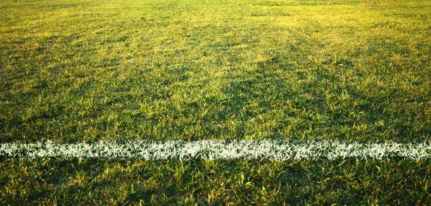 une ligne de démarcation, sur un terrain de soccer - terrain de rugby photos et images de collection