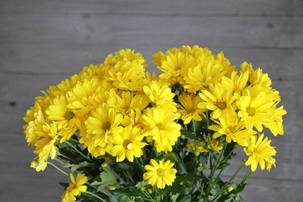 A bouquet of bright yellow flowers . stock photo