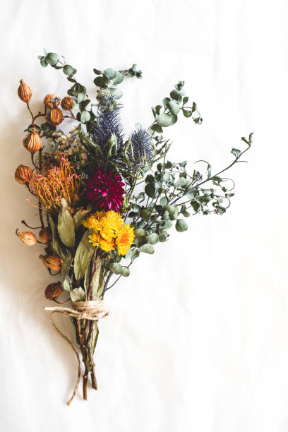 Bouquet Of Dried Flowers