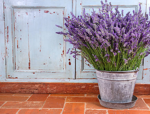 Bouquet of lavender in a rustic setting Bouquet of lavender in a rustic decorative setting lavender color stock pictures, royalty-free photos & images