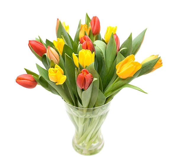 Tulips In Vase Stock Photos, Pictures & Royalty-Free Images - iStock