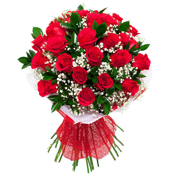 Bouquet of red roses isolated stock photo