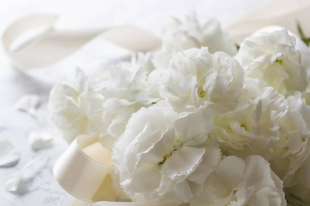 Bouquet of white carnations Flower, carnation, white, bouquet memorial event stock pictures, royalty-free photos & images