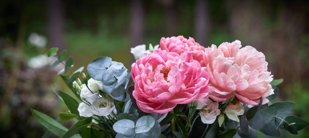 Bouquet with peonies, Paeonia suffruticosa, against blurred background stock photo