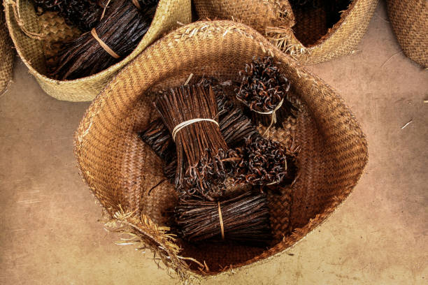 Bourbon Vanilla stock photo