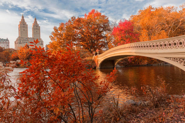 Bow Bridge in Central Park at Autumn stock photo