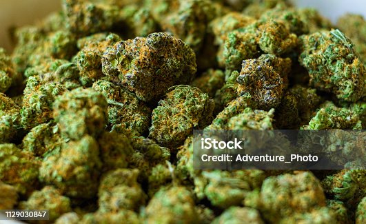 istock Bowl of Buds at Marijuana Dispensary 1129030847