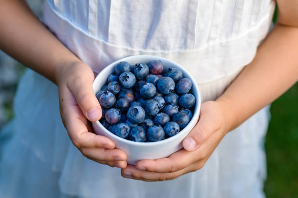 Bowl with blueberries in child hands - top view stock photo