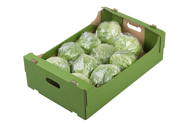 Box of Iceberg Lettuces stock photo