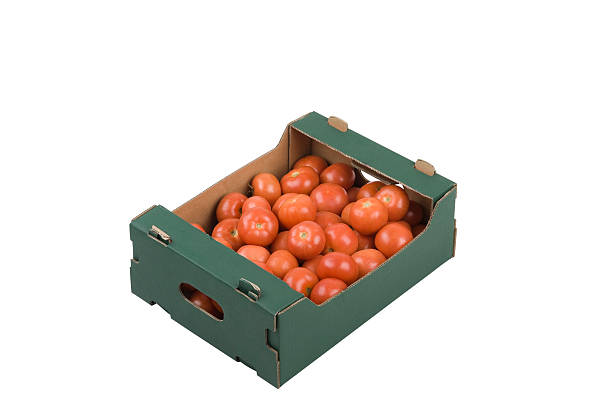 Box of Tomatoes stock photo