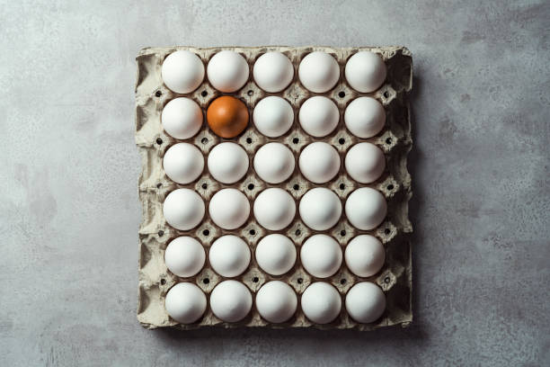 Box of white eggs with one brown egg stock photo