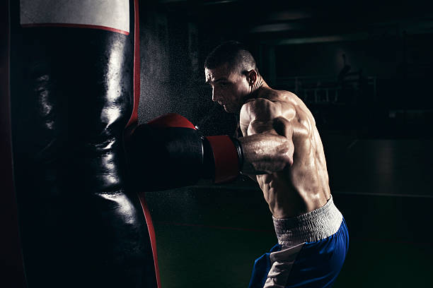 Boxer training with a punching bag stock photo