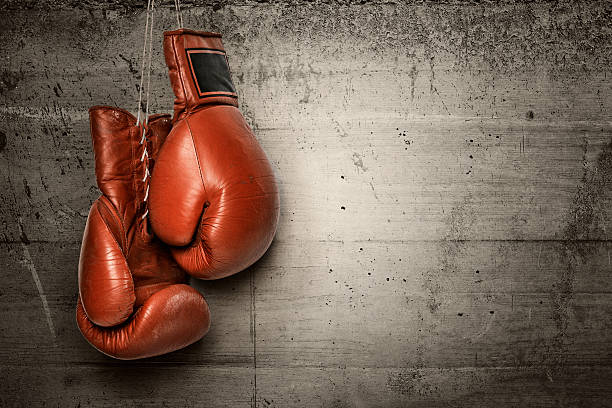 Boxing gloves hanging on concrete wall stock photo