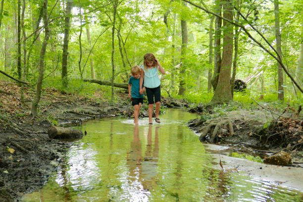 Boy and girl walking together through a creek in the forest stock photo