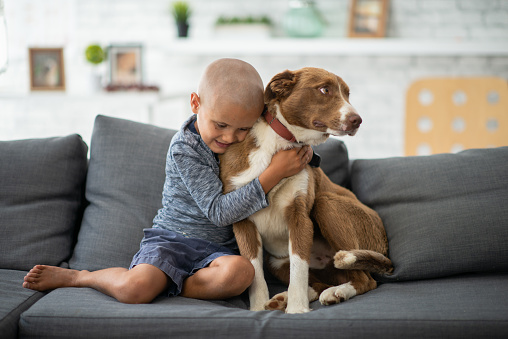 A little boy fighting cancer snuggles up to his best friend as they share a moment on the sofa together.  The boy is dressed casually in a blue shirt and has his head shaved as he smiles and hugs his furry friend.