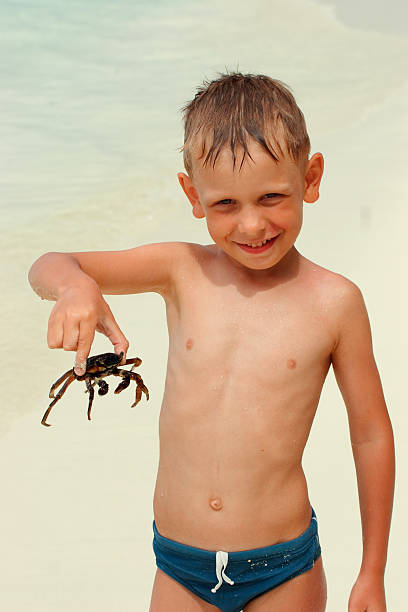 Boy and his crab stock photo
