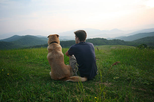 boy and his dog look at the view stock photo