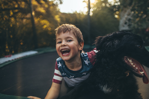 Portrait of cute, smiling, little boy and his pet dog, together on a trampoline