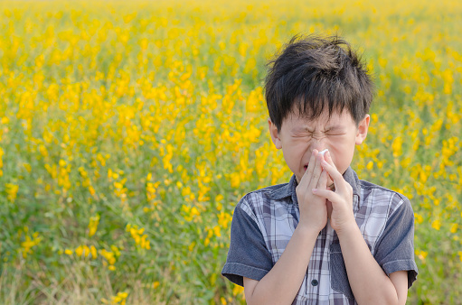 Little Asian boy has allergies from flower pollen in field