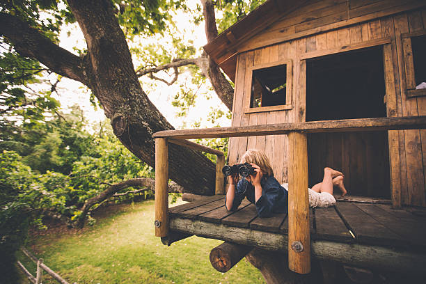 Boy in a treehouse looking in the distance with binoculars Young boy lying on the porch of a treehouse using binoculars to spy on something in the distance with leaves and a lush green grassy park in the background fort stock pictures, royalty-free photos & images