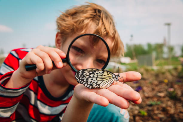 소년 버터를 보고, 자연 학습 아이 - 곤충 뉴스 사진 이미지