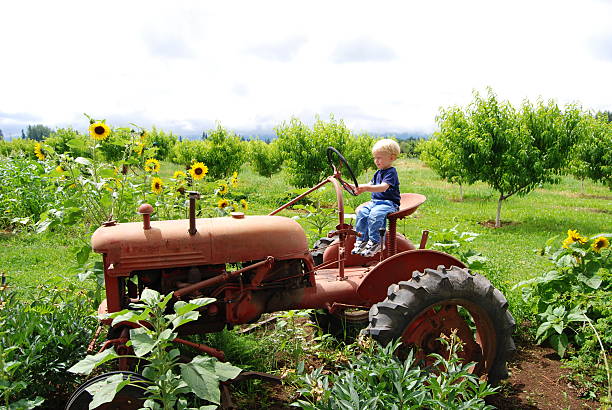 Boy on tractor stock photo