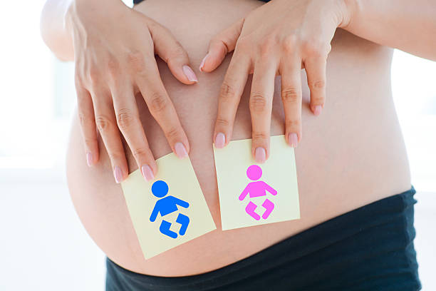 boy or girl question dilemma on pregnancy belly stock photo