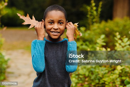 istock Boy plays with autumn leaves in the park 1335110456