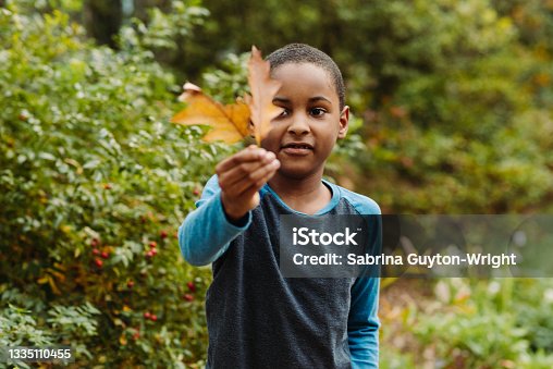 istock Boy plays with autumn leaves 1335110455