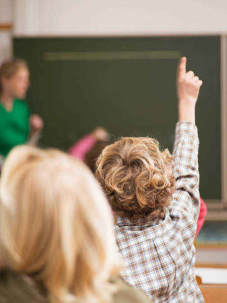 Boy raising hand in classroom, rear view stock photo