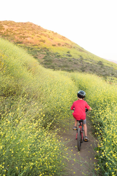 Boy Riding Away Through Yellow Flowers A rear view of a 6 year old boy riding through yellow flowers in the mounatins, lake hodges stock pictures, royalty-free photos & images