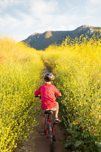 男孩騎走通過黃色的花 - lake hodges 個照片及圖片檔