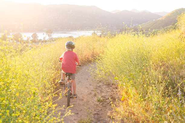 Boy Riding Away Through Yellow Flowers A rear view of a 6 year old boy riding through yellow flowers in the mounatins, lake hodges stock pictures, royalty-free photos & images