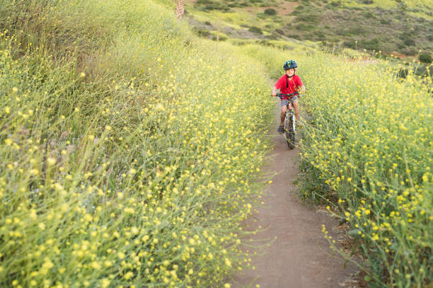 Boy Riding Through Yellow Flowers A 6 year old boy riding through yellow flowers in the mounatins, lake hodges stock pictures, royalty-free photos & images