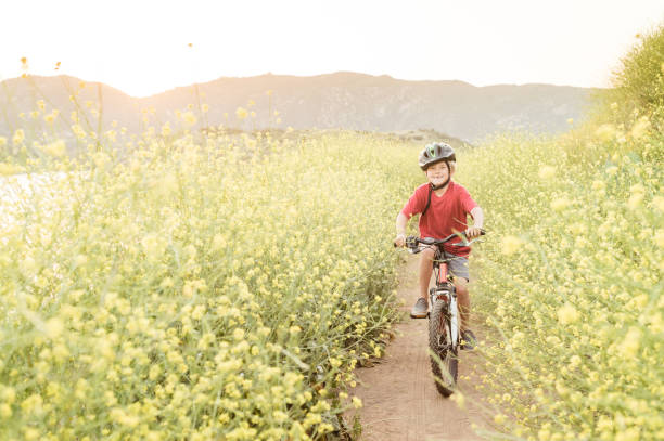 男孩騎通過黃色的花 - lake hodges 個照片及圖片檔