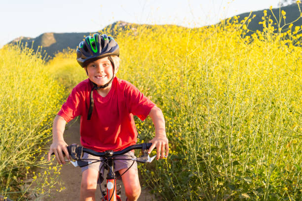 Boy Riding Through Yellow Flowers A 6 year old boy riding through yellow flowers in the mounatins, lake hodges stock pictures, royalty-free photos & images