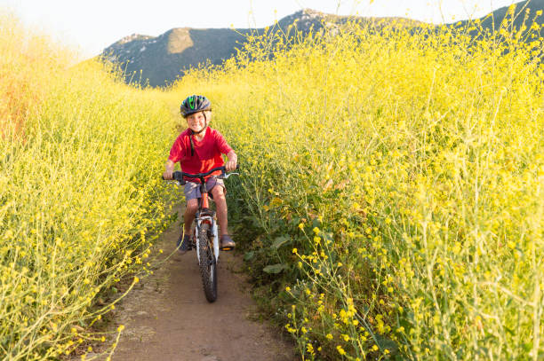 мальчик верхом через желтые цветы - lake hodges стоковые фото и изображения