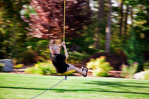 Best Zip Line Backyard Stock Photos Pictures Royalty Free