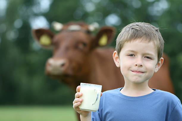 A boy with a glass of milk and a cow in a background stock photo