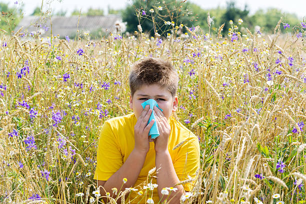 Boy with allergic rhinitis in  meadow stock photo