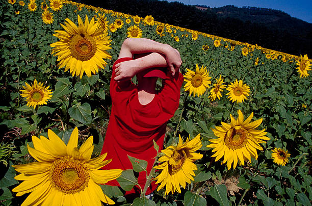 boy with red shirt and hat in a sunflower field stock photo