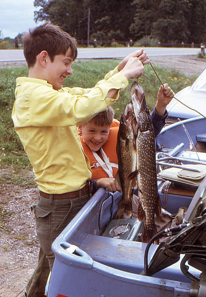 boys and fish 1972, retro Boys showing off catch of walleye and northern pike from a fishing trip. 1972. Kodachrome scanned film with grain. fishing photos stock pictures, royalty-free photos & images