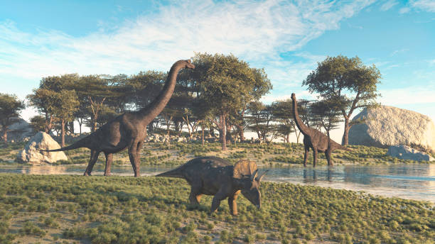 brachiosaurus e triceratopi nella valle al lago . si tratta di un'illustrazione di rendering 3d . - preistoria foto e immagini stock