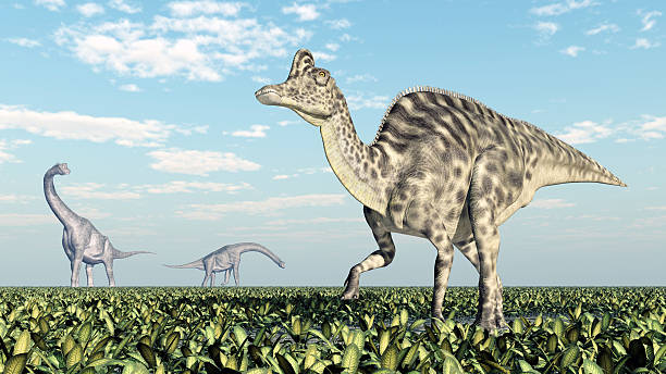 Duckbill Dinosaur Stock Photos, Pictures & Royalty-Free Images - iStock